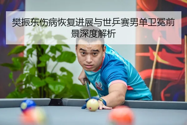 樊振东伤病恢复进展与世乒赛男单卫冕前景深度解析