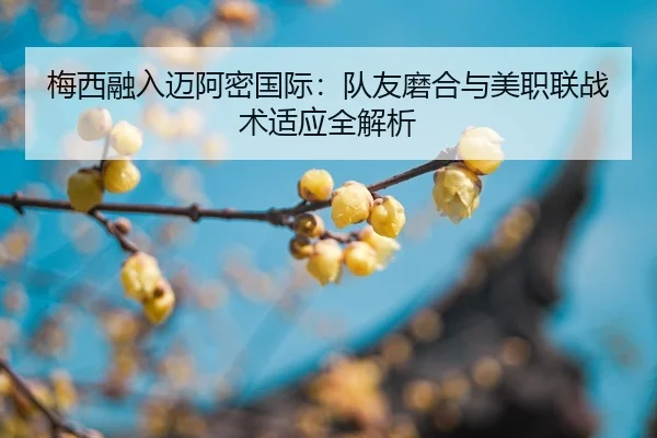 梅西融入迈阿密国际：队友磨合与美职联战术适应全解析