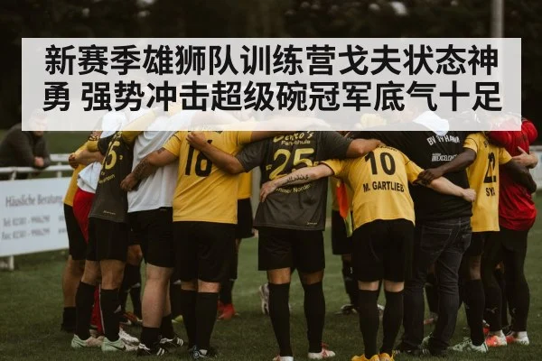 新赛季雄狮队训练营戈夫状态神勇 强势冲击超级碗冠军底气十足